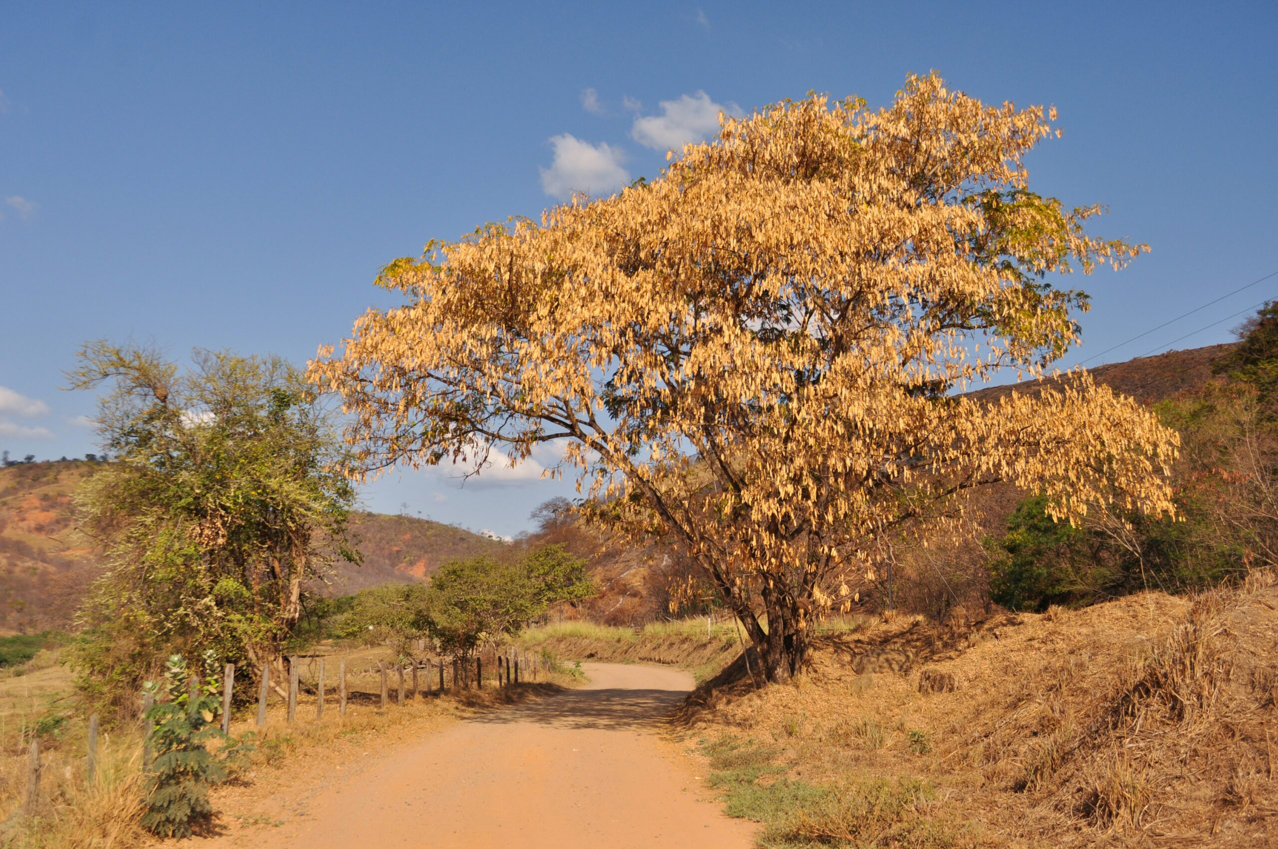Burkina Faso: Forced disappearances and journalist repression